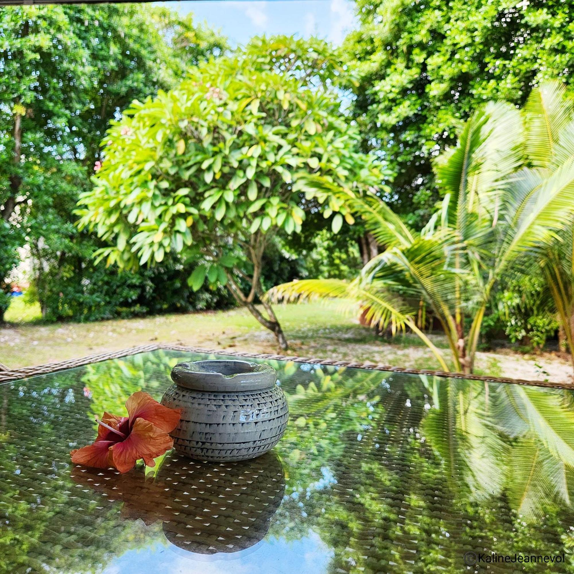 Surf Tropical Villa Takamaka セール島 部屋 写真